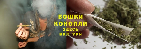 стаф Аркадак