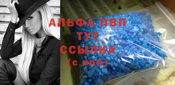 стаф Аркадак