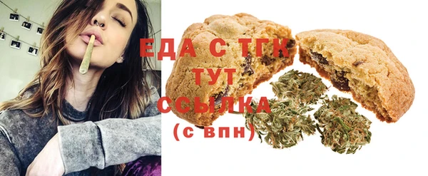 стаф Аркадак