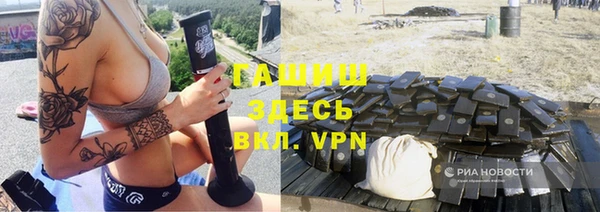 стаф Арсеньев