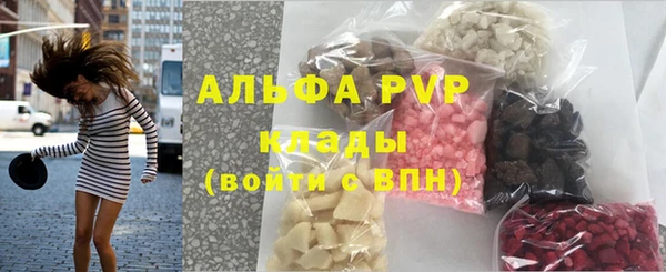 стаф Аркадак