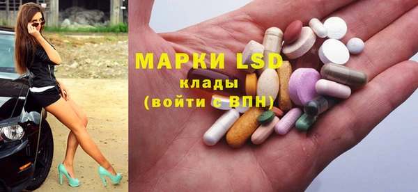 стаф Аркадак