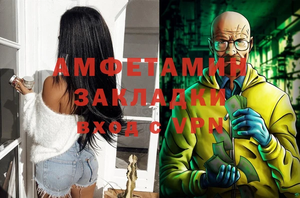 стаф Аркадак