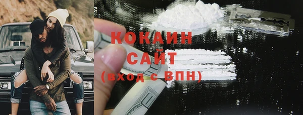 стаф Арсеньев