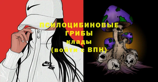 стаф Аркадак