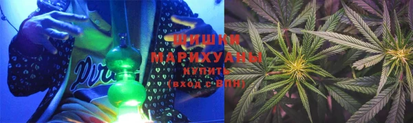 стаф Аркадак