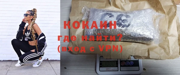 стаф Аркадак